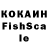 COCAIN Fish Scale ASHOT LIFE