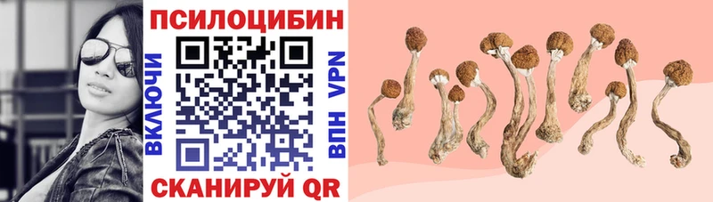 хочу   Малоярославец  Псилоцибиновые грибы мицелий 